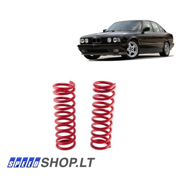 BMW 5 (E34) galinės žeminančios spyruoklės