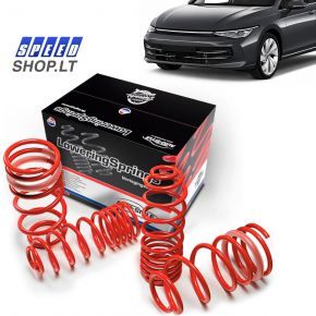 Volkswagen Golf 8 žeminimo spyruoklės 