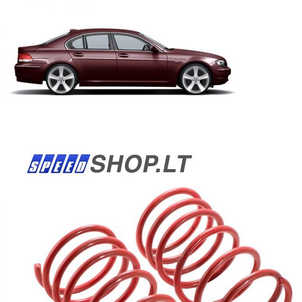 BMW 7 (E65-E66) priekinės žeminančios spyruoklės