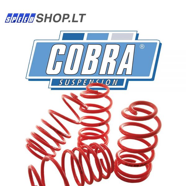 VW PASSAT B7 žeminančios spyruoklės