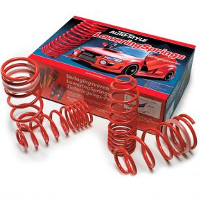 Skoda Fabia Hatchback žeminančios spyruoklės 30/30