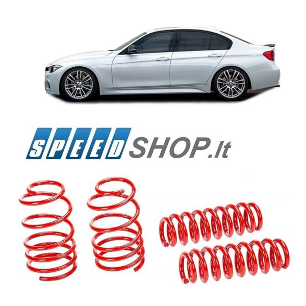 BMW 330E (F30) žeminančios spyruoklės