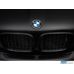 BMW X5 (E53) grotelės iki Facelift