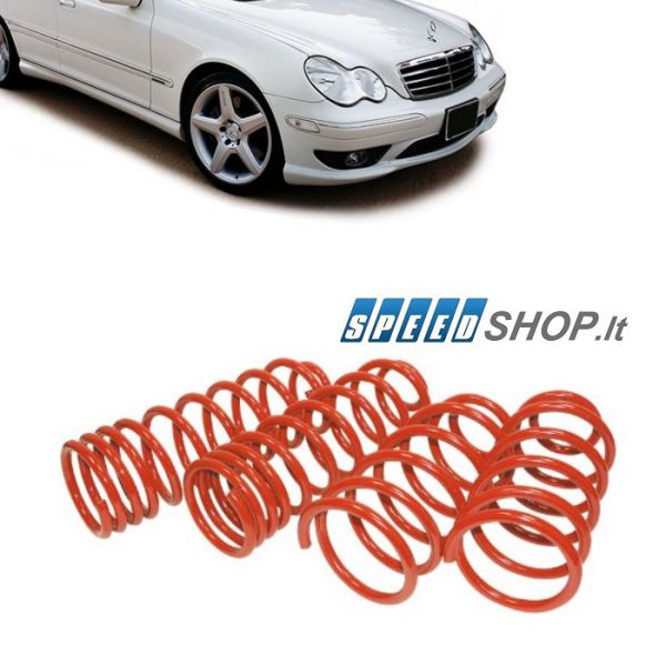 Mercedes-Benz C klasės W203 žeminančios spyruoklės
