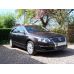 Passat B6 chrominiai veidrodėlių dangteliai